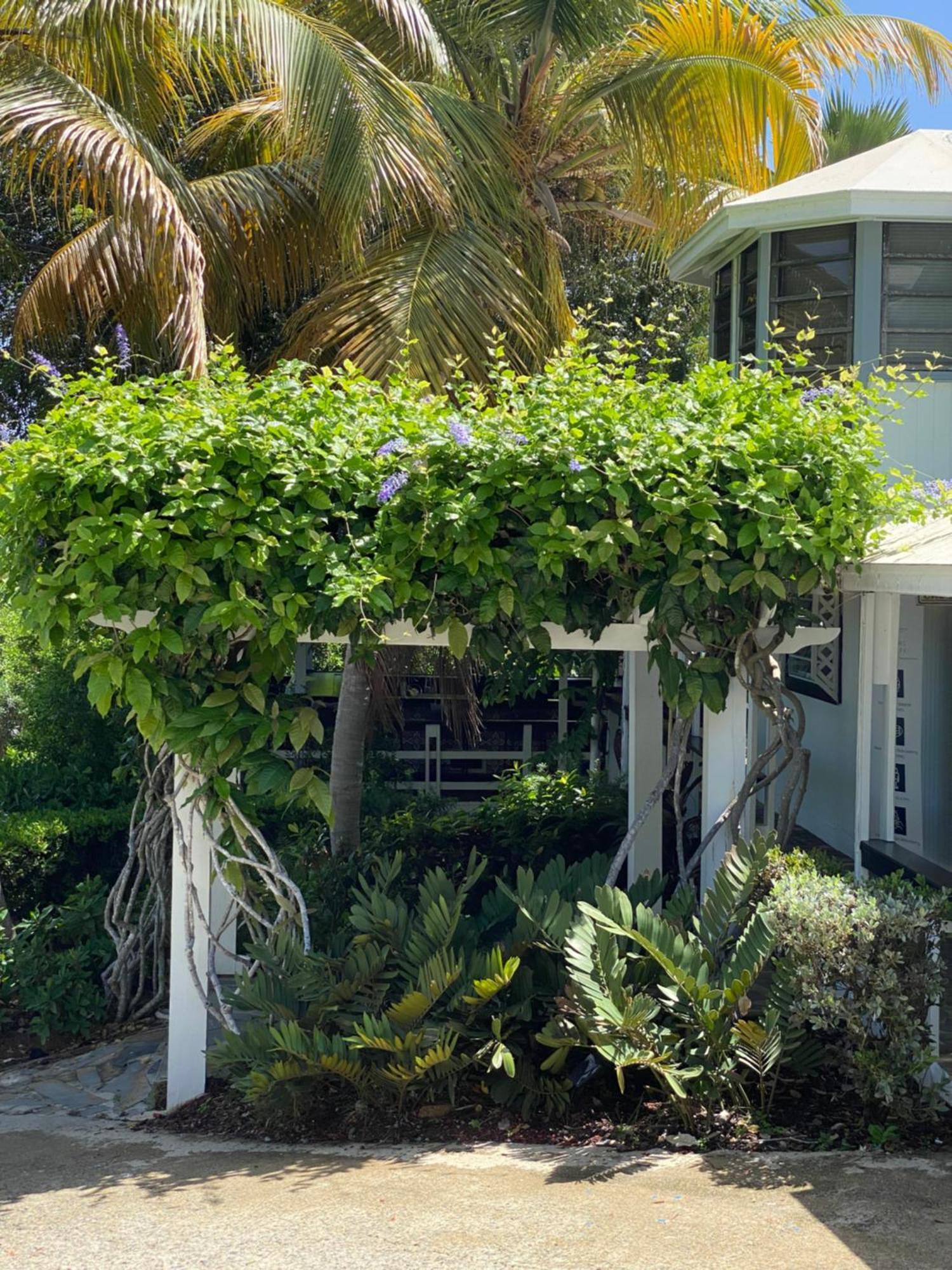 Club Seabourne Hotel Isla Culebra Eksteriør bilde